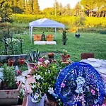 아파트 La Casa Nella Vigna Colline Del Vino *