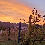 La Casa Nella Vigna Colline Del Vino *