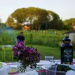 La Casa Nella Vigna Colline Del Vino 카판노리