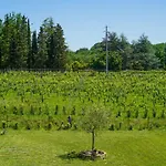 La Casa Nella Vigna Colline Del Vino