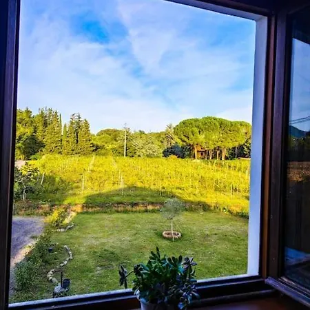 شقة La Casa Nella Vigna Colline Del Vino