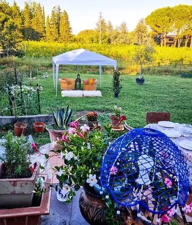 아파트 La Casa Nella Vigna Colline Del Vino *