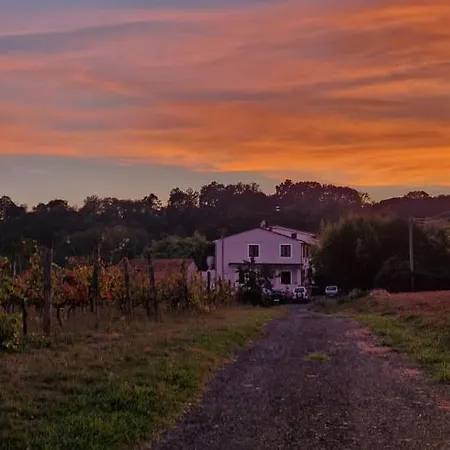 La Casa Nella Vigna Colline Del Vino * كابانّوري