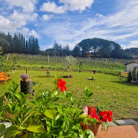 شقة La Casa Nella Vigna Colline Del Vino *