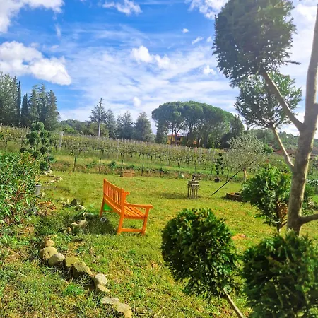 La Casa Nella Vigna Colline Del Vino 카판노리