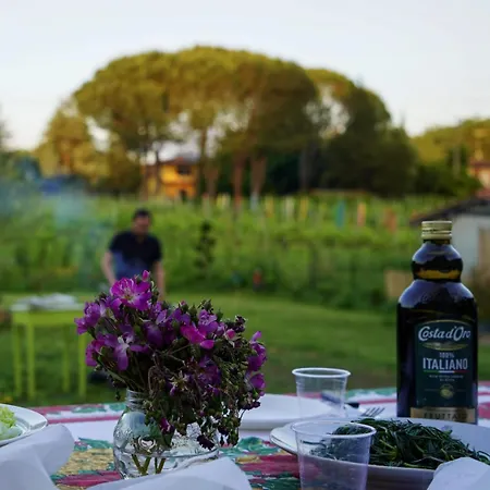 La Casa Nella Vigna Colline Del Vino 카판노리