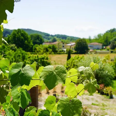 아파트 La Casa Nella Vigna Colline Del Vino 카판노리
