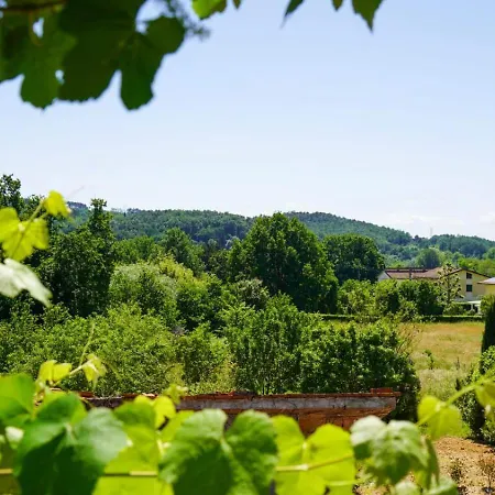شقة La Casa Nella Vigna Colline Del Vino