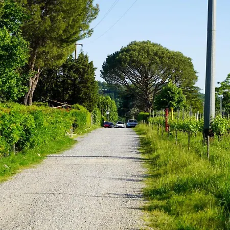 아파트 La Casa Nella Vigna Colline Del Vino 카판노리