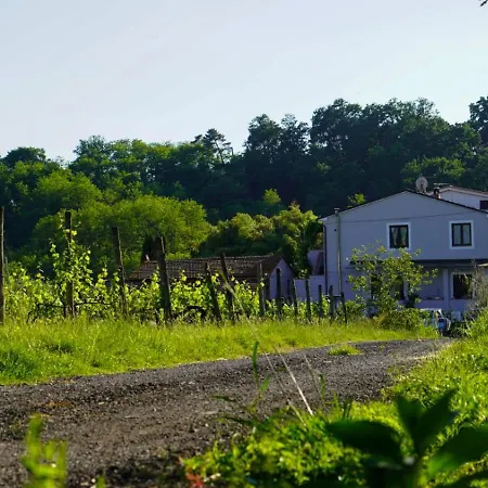 La Casa Nella Vigna Colline Del Vino 아파트 카판노리