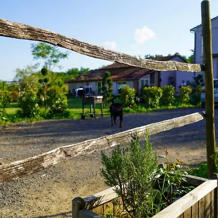 La Casa Nella Vigna Colline Del Vino 아파트 *