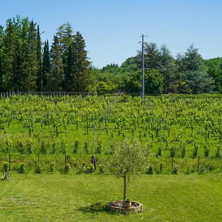 La Casa Nella Vigna Colline Del Vino