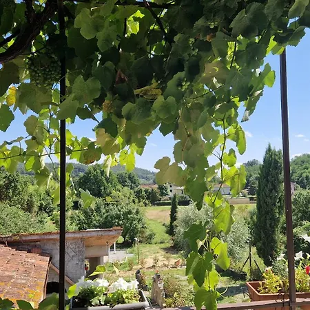 La Casa Nella Vigna Colline Del Vino شقة كابانّوري